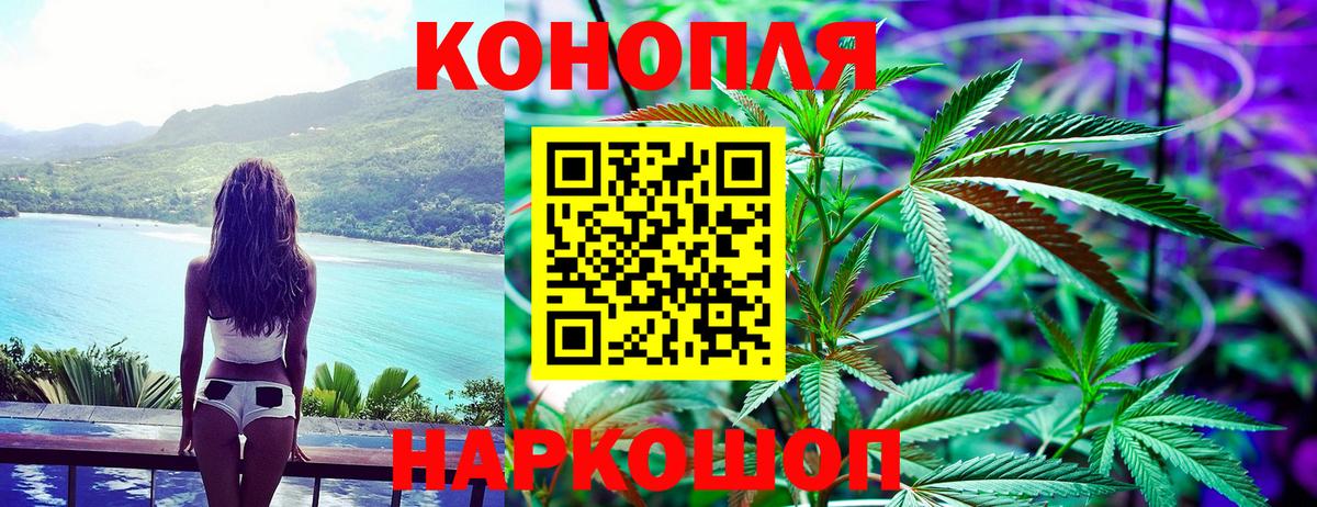 Бошки Шишки Amnesia  Вход с VPN  Пугачёв  Бошки марихуана ГИДРОПОН 